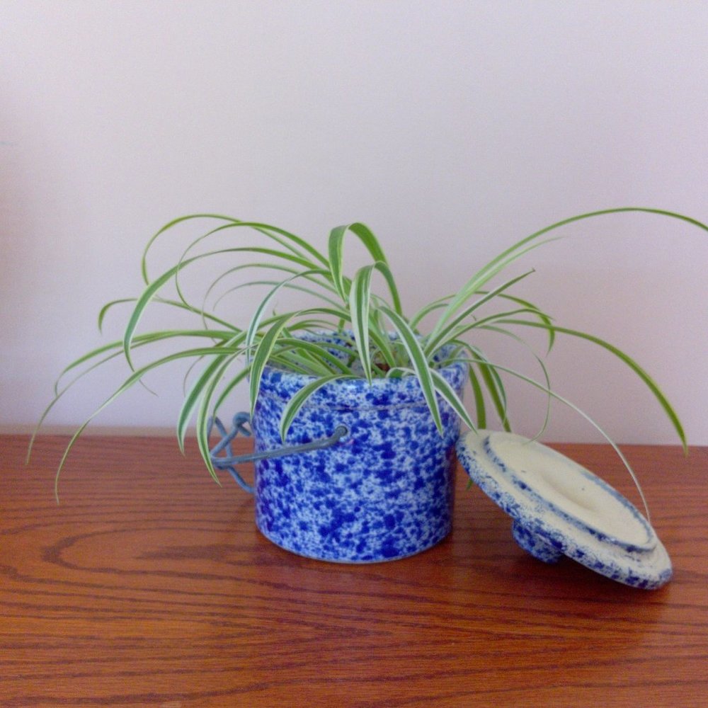 Vintage Blue White Spatter Speckle Ceramic Cheese Crock Jar Container
